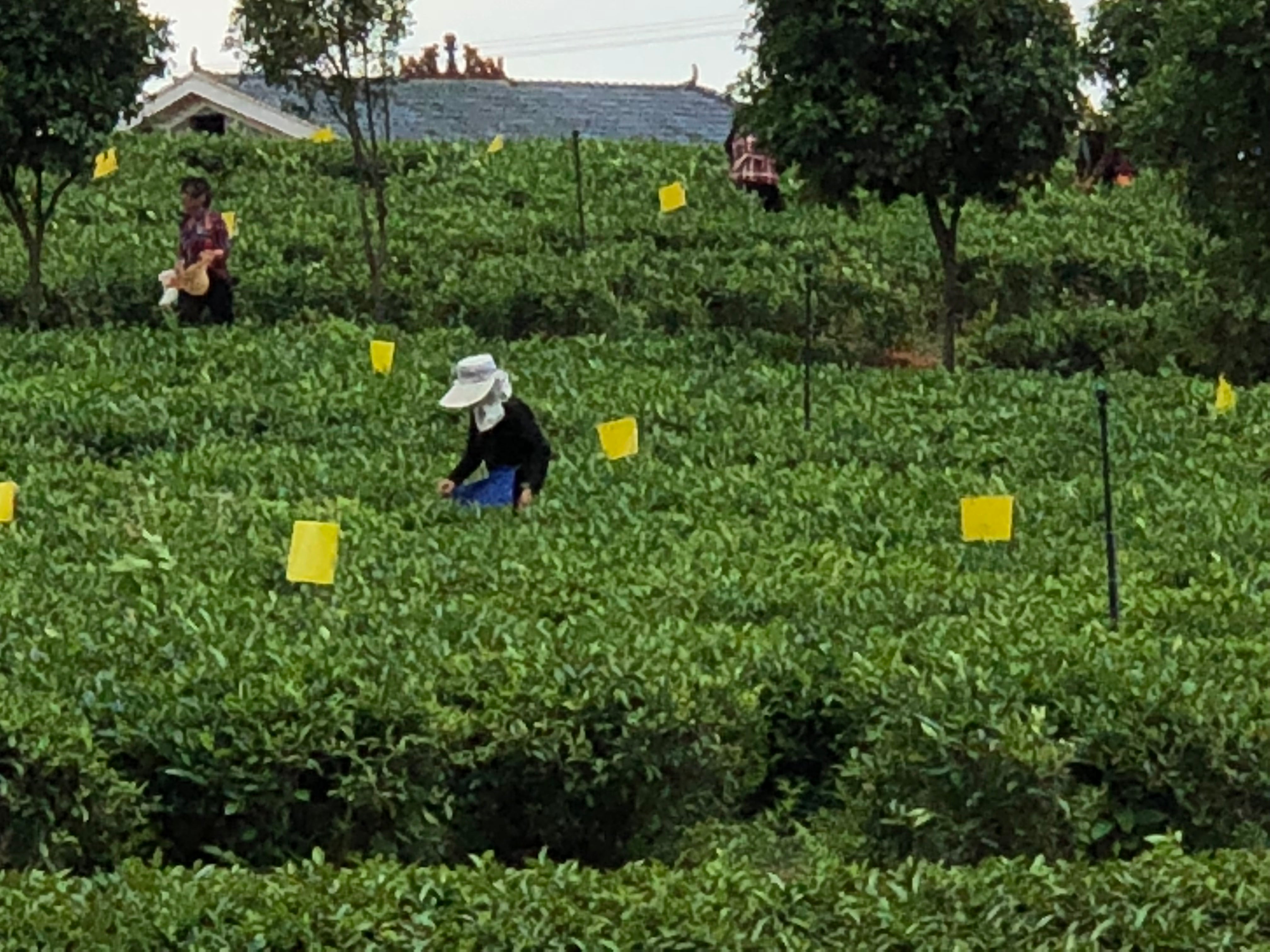 China 2018. Hunan