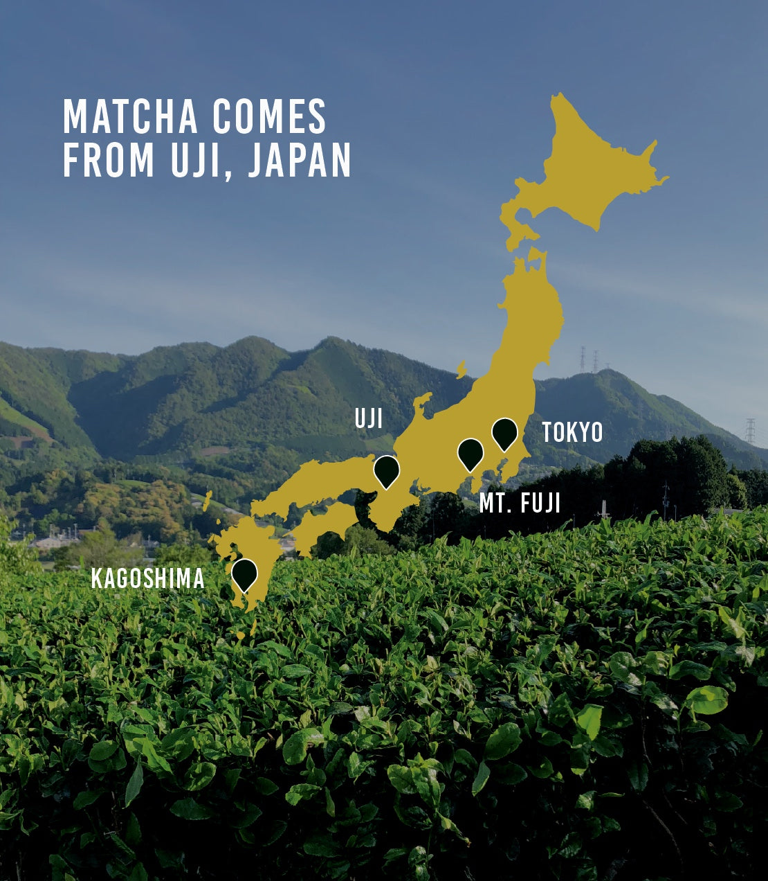 Map of Japan highlighting Uji with a tea field in the foreground.
Matcha comes from Uji, Japan.