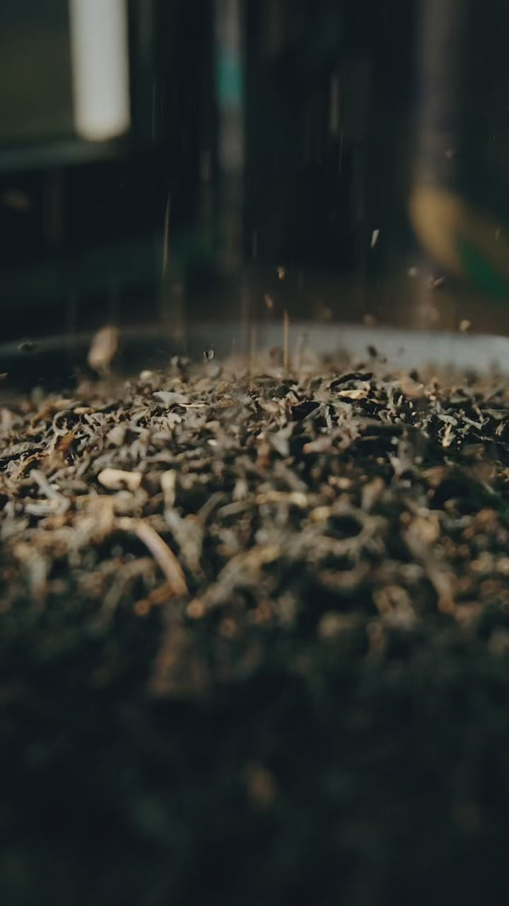 An instructional video of how to brew black tea. 
